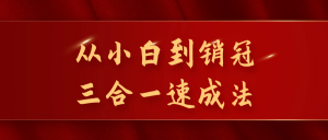从小白到销冠三合一速成法看最鲜网，看新知识-提供各类互联网项目，互联网副业，职场技能课程，股票期货投资, 校园课程，升学考试等有价值的知识看最鲜网，看新知识