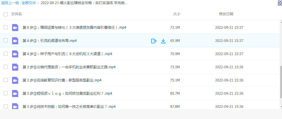 干什么副业比较挣钱, 爆火副业赚钱全攻略：实打实演练，带普通人月入３万元