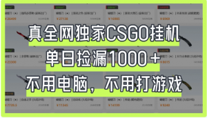 真全网独家CSGO挂机，单日捡漏1000+，不用电脑，不用养号看最鲜网，看新知识-提供各类互联网项目，互联网副业，职场技能课程，股票期货投资, 校园课程，升学考试等有价值的知识看最鲜网，看新知识