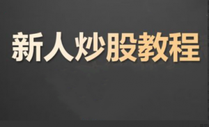 炒股入门课程 股票基础知识看最鲜网，看新知识-提供各类互联网项目，互联网副业，职场技能课程，股票期货投资, 校园课程，升学考试等有价值的知识看最鲜网，看新知识