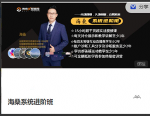 海桑N型波段，海桑系统进阶班期货课程看最鲜网，看新知识-提供各类互联网项目，互联网副业，职场技能课程，股票期货投资, 校园课程，升学考试等有价值的知识看最鲜网，看新知识
