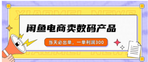 闲鱼电商卖数码产品，日入1000＋，看完即可实操看最鲜网，看新知识-提供各类互联网项目，互联网副业，职场技能课程，股票期货投资, 校园课程，升学考试等有价值的知识看最鲜网，看新知识