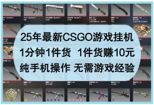 25年新CSGO游戏挂机，1分钟1件货，1件货赚10元，纯手机操作，无需游戏经验看最鲜网，看新知识-提供各类互联网项目，互联网副业，职场技能课程，股票期货投资, 校园课程，升学考试等有价值的知识看最鲜网，看新知识
