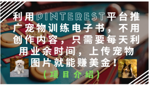 利用Pinterest平台推广宠物训练电子书，不用创作内容，只需要每天利用业余时间，上传宠物图片就能赚美金！看最鲜网，看新知识-提供各类互联网项目，互联网副业，职场技能课程，股票期货投资, 校园课程，升学考试等有价值的知识看最鲜网，看新知识