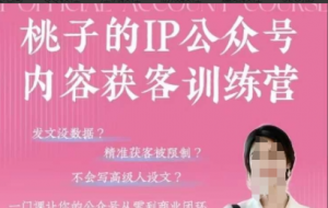 桃子IP公众号内容获客训练营(第3期)，一门让你公众号从0到商业闭环的课程看最鲜网，看新知识-提供各类互联网项目，互联网副业，职场技能课程，股票期货投资, 校园课程，升学考试等有价值的知识看最鲜网，看新知识