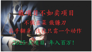 ”做项目不如卖项目”不做韭菜 做镰刀！高手翻身住往只需一个动作！2025卖项目，年入百万!看最鲜网，看新知识-提供各类互联网项目，互联网副业，职场技能课程，股票期货投资, 校园课程，升学考试等有价值的知识看最鲜网，看新知识