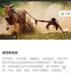 只会炒股2023年8-10月 股哥秋收班视频课程看最鲜网，看新知识-提供各类互联网项目，互联网副业，职场技能课程，股票期货投资, 校园课程，升学考试等有价值的知识看最鲜网，看新知识
