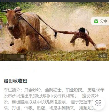 只会炒股2023年8-10月 股哥秋收班视频课程看最鲜网，看新知识-提供各类互联网项目，互联网副业，职场技能课程，股票期货投资, 校园课程，升学考试等有价值的知识看最鲜网，看新知识