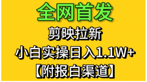 全网首发：剪映拉新，小白实操 单日收益1.1W+【附报白渠道】看最鲜网，看新知识-提供各类互联网项目，互联网副业，职场技能课程，股票期货投资, 校园课程，升学考试等有价值的知识看最鲜网，看新知识