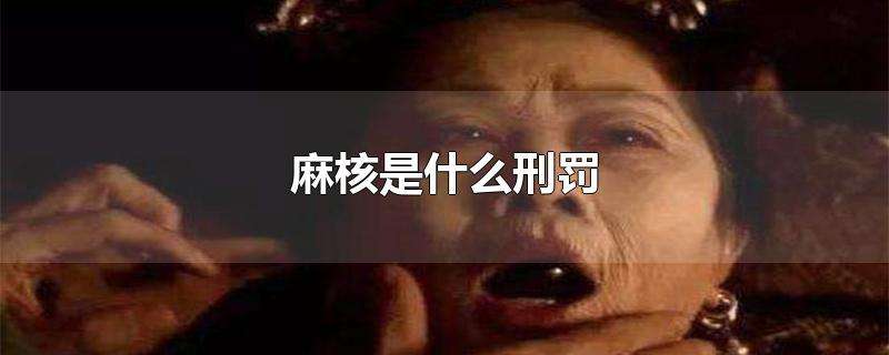 麻核是什么刑罚（麻核是啥）看最鲜网，看新知识-提供各类互联网项目，互联网副业，职场技能课程，股票期货投资, 校园课程，升学考试等有价值的知识看最鲜网，看新知识
