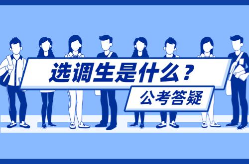 选调生是什么意思啊,考选调生的要求和条件