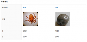 蜱虫怎么来的(为什么家里会有蜱虫)看最鲜网，看新知识-提供各类互联网项目，互联网副业，职场技能课程，股票期货投资, 校园课程，升学考试等有价值的知识看最鲜网，看新知识