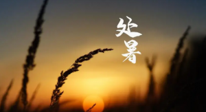 2023年处暑的时间是几月几日看最鲜网，看新知识-提供各类互联网项目，互联网副业，职场技能课程，股票期货投资, 校园课程，升学考试等有价值的知识看最鲜网，看新知识