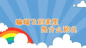 蝙蝠进屋有什么预兆（蝙蝠进宅暗示什么）看最鲜网，看新知识-提供各类互联网项目，互联网副业，职场技能课程，股票期货投资, 校园课程，升学考试等有价值的知识看最鲜网，看新知识