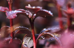 2023处暑过后多久黑天看最鲜网，看新知识-提供各类互联网项目，互联网副业，职场技能课程，股票期货投资, 校园课程，升学考试等有价值的知识看最鲜网，看新知识