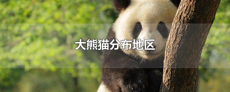 大熊猫的分布地区有哪些地方（大熊猫分别分布在哪个地区）看最鲜网，看新知识-提供各类互联网项目，互联网副业，职场技能课程，股票期货投资, 校园课程，升学考试等有价值的知识看最鲜网，看新知识