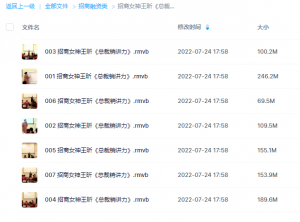 新招商女神王昕九大引爆招商总裁销讲力全集视频课程销讲大商之道培训教程看最鲜网，看新知识-提供各类互联网项目，互联网副业，职场技能课程，股票期货投资, 校园课程，升学考试等有价值的知识看最鲜网，看新知识