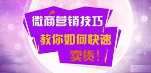 潭州学院微商VIP课程(基础班,高级班,品牌班,创业班)看最鲜网，看新知识-提供各类互联网项目，互联网副业，职场技能课程，股票期货投资, 校园课程，升学考试等有价值的知识看最鲜网，看新知识