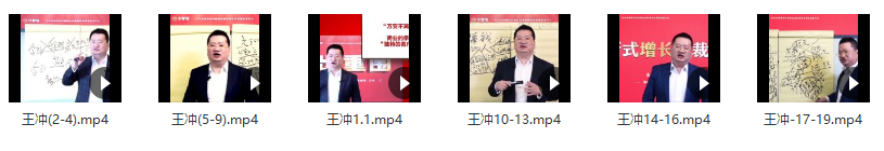 王冲 ：商业模式+团队管理+流量破局19节完整版