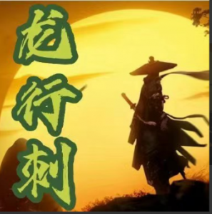 【龙行刺】龙空龙 2023年12月到2024年2月底 视频 24个看最鲜网，看新知识-提供各类互联网项目，互联网副业，职场技能课程，股票期货投资, 校园课程，升学考试等有价值的知识看最鲜网，看新知识