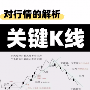 张紫卫关键k线对行情的解析期货视频课程看最鲜网，看新知识-提供各类互联网项目，互联网副业，职场技能课程，股票期货投资, 校园课程，升学考试等有价值的知识看最鲜网，看新知识