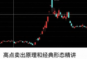 高点卖出原理和经典形态精讲赵兴亿看最鲜网，看新知识-提供各类互联网项目，互联网副业，职场技能课程，股票期货投资, 校园课程，升学考试等有价值的知识看最鲜网，看新知识
