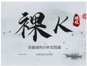 智投学宫老K 裸K动量结构系统篇10节看最鲜网，看新知识-提供各类互联网项目，互联网副业，职场技能课程，股票期货投资, 校园课程，升学考试等有价值的知识看最鲜网，看新知识