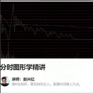 赵兴亿老师分时图形学精讲课程看最鲜网，看新知识-提供各类互联网项目，互联网副业，职场技能课程，股票期货投资, 校园课程，升学考试等有价值的知识看最鲜网，看新知识