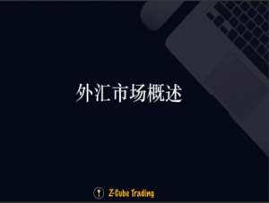 路肖南《图表玩家-交易学社》券商知识系列课程外汇培训视频看最鲜网，看新知识-提供各类互联网项目，互联网副业，职场技能课程，股票期货投资, 校园课程，升学考试等有价值的知识看最鲜网，看新知识