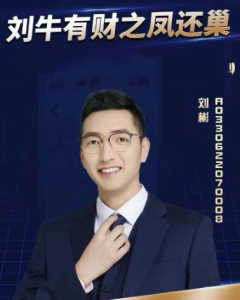 刘彬：刘牛有财之凤还巢战法看最鲜网，看新知识-提供各类互联网项目，互联网副业，职场技能课程，股票期货投资, 校园课程，升学考试等有价值的知识看最鲜网，看新知识