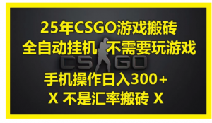25年CSGO游戏搬砖，全自动挂机，不需要玩游戏，手机操作日入300+。(不是汇率搬砖)看最鲜网，看新知识-提供各类互联网项目，互联网副业，职场技能课程，股票期货投资, 校园课程，升学考试等有价值的知识看最鲜网，看新知识