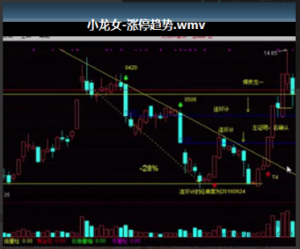 小龙女涨停趋势视频课,小龙女涨停趋势视频课看最鲜网，看新知识-提供各类互联网项目，互联网副业，职场技能课程，股票期货投资, 校园课程，升学考试等有价值的知识看最鲜网，看新知识