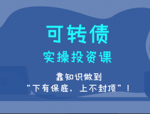 可转债实操投资系统课,可转债实操投资系统课看最鲜网，看新知识-提供各类互联网项目，互联网副业，职场技能课程，股票期货投资, 校园课程，升学考试等有价值的知识看最鲜网，看新知识