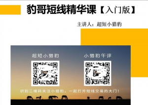 超短小猎豹-豹哥短线精华课入门版看最鲜网，看新知识-提供各类互联网项目，互联网副业，职场技能课程，股票期货投资, 校园课程，升学考试等有价值的知识看最鲜网，看新知识