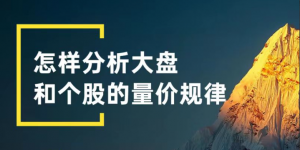 花荣主题视频： 怎样分析大盘和个股的量价规律？看最鲜网，看新知识-提供各类互联网项目，互联网副业，职场技能课程，股票期货投资, 校园课程，升学考试等有价值的知识看最鲜网，看新知识