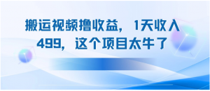 搬运抖音中视频撸收益，1天收入499，这个项目太牛了看最鲜网，看新知识-提供各类互联网项目，互联网副业，职场技能课程，股票期货投资, 校园课程，升学考试等有价值的知识看最鲜网，看新知识