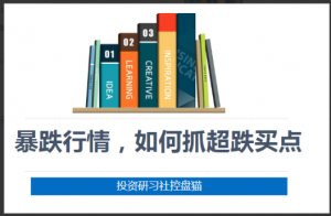 投资研习社控盘猫 暴跌行情，如何抓超跌买点看最鲜网，看新知识-提供各类互联网项目，互联网副业，职场技能课程，股票期货投资, 校园课程，升学考试等有价值的知识看最鲜网，看新知识