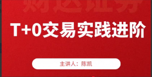 陈凯交易之路股票日内T+0交易（2023年版）看最鲜网，看新知识-提供各类互联网项目，互联网副业，职场技能课程，股票期货投资, 校园课程，升学考试等有价值的知识看最鲜网，看新知识