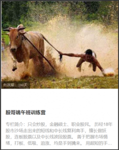 股哥端午班训练营， 股哥端午班训练营看最鲜网，看新知识-提供各类互联网项目，互联网副业，职场技能课程，股票期货投资, 校园课程，升学考试等有价值的知识看最鲜网，看新知识