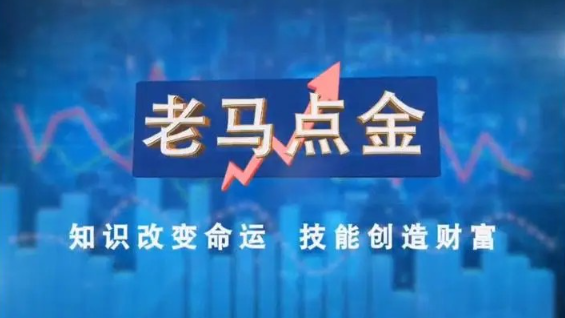 老马点金职业操盘手的看盘与复盘技巧看最鲜网，看新知识-提供各类互联网项目，互联网副业，职场技能课程，股票期货投资, 校园课程，升学考试等有价值的知识看最鲜网，看新知识