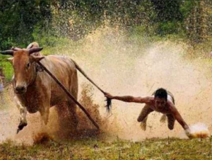 股哥训练营 只会炒股第24期2022.4看最鲜网，看新知识-提供各类互联网项目，互联网副业，职场技能课程，股票期货投资, 校园课程，升学考试等有价值的知识看最鲜网，看新知识