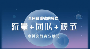 王冲老师《流量+团队+模式》商业模式实战课，全网最赚钱的模式看最鲜网，看新知识-提供各类互联网项目，互联网副业，职场技能课程，股票期货投资, 校园课程，升学考试等有价值的知识看最鲜网，看新知识