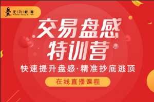 投资课堂259期盘感特训营, 投资课堂259期盘感特训营看最鲜网，看新知识-提供各类互联网项目，互联网副业，职场技能课程，股票期货投资, 校园课程，升学考试等有价值的知识看最鲜网，看新知识