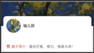 2024年1月-5月大柚子笔记大柚子 直播视频课程看最鲜网，看新知识-提供各类互联网项目，互联网副业，职场技能课程，股票期货投资, 校园课程，升学考试等有价值的知识看最鲜网，看新知识