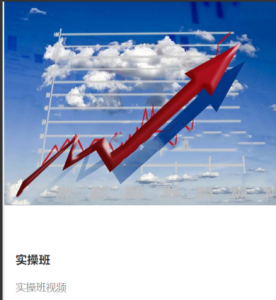 赵心纯走进殿堂【实操班】视频看最鲜网，看新知识-提供各类互联网项目，互联网副业，职场技能课程，股票期货投资, 校园课程，升学考试等有价值的知识看最鲜网，看新知识