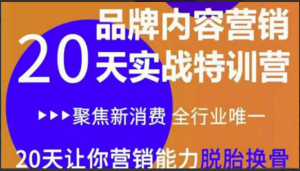 《内容营销实操特训营》20天让你营销能力脱胎换骨（价值3999）看最鲜网，看新知识-提供各类互联网项目，互联网副业，职场技能课程，股票期货投资, 校园课程，升学考试等有价值的知识看最鲜网，看新知识