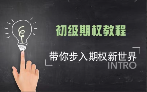 美投君期权课程 初级期权课程看最鲜网，看新知识-提供各类互联网项目，互联网副业，职场技能课程，股票期货投资, 校园课程，升学考试等有价值的知识看最鲜网，看新知识