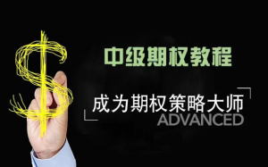 美投君期权课程 中级期权教程看最鲜网，看新知识-提供各类互联网项目，互联网副业，职场技能课程，股票期货投资, 校园课程，升学考试等有价值的知识看最鲜网，看新知识