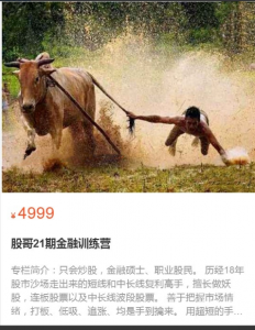 股哥训练营 只会炒股第21期 2022看最鲜网，看新知识-提供各类互联网项目，互联网副业，职场技能课程，股票期货投资, 校园课程，升学考试等有价值的知识看最鲜网，看新知识