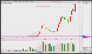 何青平《短线狙击手密训营》小班学习课直播看最鲜网，看新知识-提供各类互联网项目，互联网副业，职场技能课程，股票期货投资, 校园课程，升学考试等有价值的知识看最鲜网，看新知识